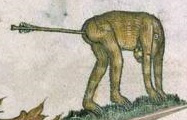 A creature with an arrow up its bum